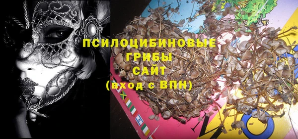прущие грибы Заволжье
