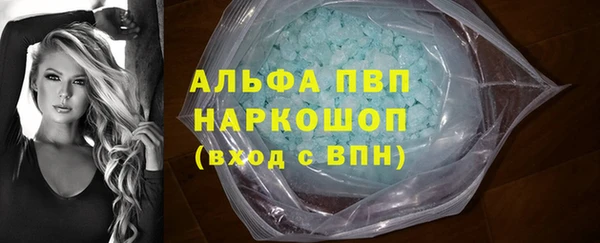 прущие грибы Заволжье