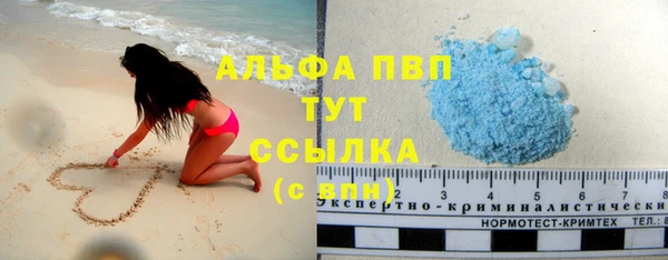 прущие грибы Заволжье