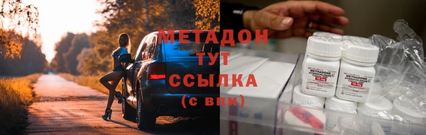 прущие грибы Заволжье