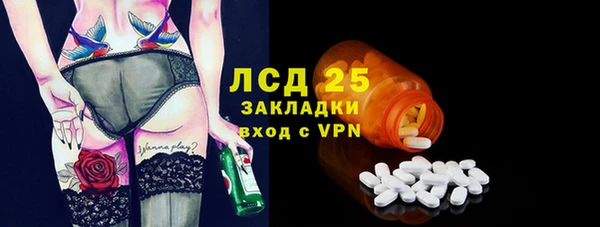 прущие грибы Заволжье