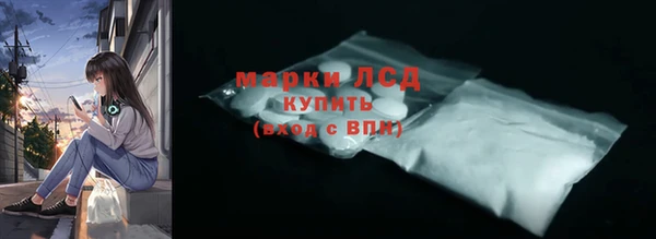 прущие грибы Заволжье