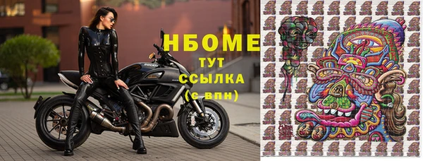 прущие грибы Заволжье
