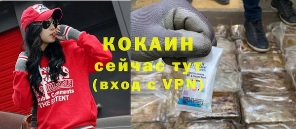 прущие грибы Заволжье