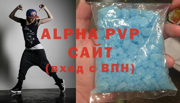 прущие грибы Заволжье