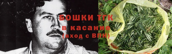 прущие грибы Заволжье