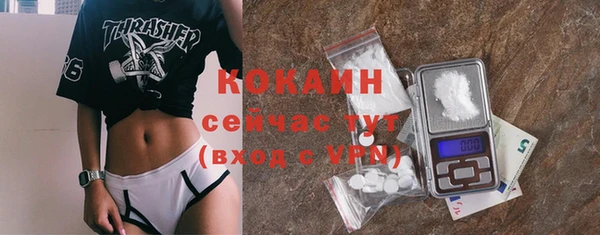 прущие грибы Заволжье