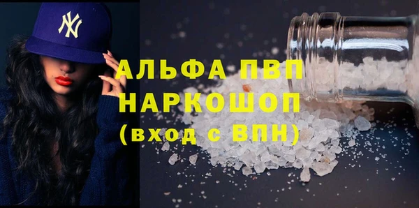 прущие грибы Заволжье