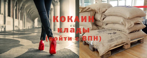 прущие грибы Заволжье