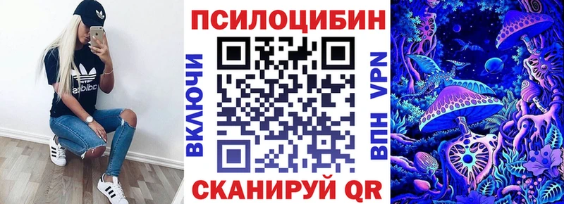 как найти закладки  Питкяранта  Псилоцибиновые грибы GOLDEN TEACHER 
