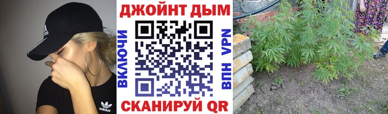 Канабис ГИДРОПОН  Питкяранта 